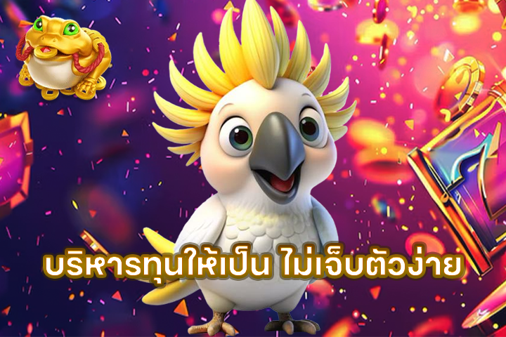 บริหารทุนให้เป็น ไม่เจ็บตัวง่าย